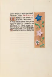 Hours of Dronning Isabella den Katolik, Dronning af Spanien: Fol. 30r, c. 1500.