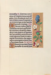 Hours of Dronning Isabella den Katolik, Dronning af Spanien: Fol. 48r, ca. 1500.