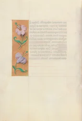 Hours of Dronning Isabella den Katolik, Dronning af Spanien: Fol. 49v, ca. 1500.
