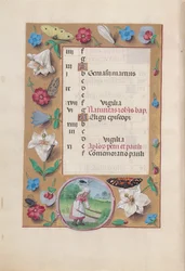 Hours of Dronning Isabella den Katolik, Dronning af Spanien: Fol. 7v, juni, ca. 1500.