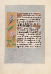 Hours of Dronning Isabella den Katolik, Dronning af Spanien: Fol. 98v, ca. 1500.