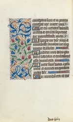 Timebog Brug af Rouen: fol. 134v, ca. 1470.