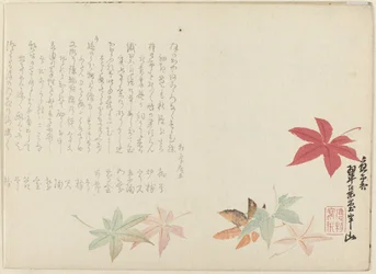 Japansk ahorn