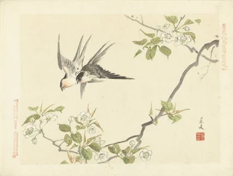 To svaler Blomster- og fugleskitser fra Keibun - del 1 (serietitel) Keibun kacho gafu zen pen (serietitel på objekt)