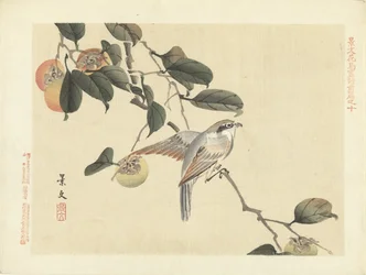 Fugl og persimmon Blomster- og fugleskitser fra Keibun - del 1 (serietitel) Keibun kacho gafu zen pen (serietitel på objekt)