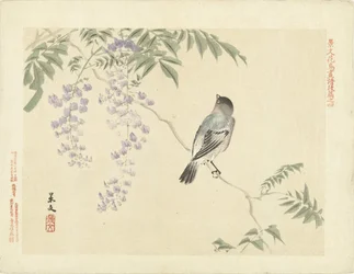Fugl på blåregn gren Flower and Bird Skitser af Keibun - del tre (serietitel) Keibun kacho gafu kohen (serietitel på objekt)