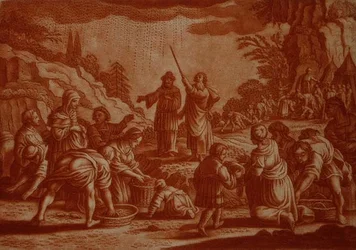 Israelitterne samler manna, illustration fra en bibel, graveret af Gabriel Bodeneer (1673-1766) (sepia-stikning)