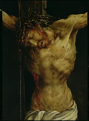 Korsfæstelsen fra Isenheim-altertavlen, detalje af Kristi torso, ca.1512-16 olie på panel detalje