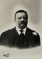 Portræt af Theodore Roosevelt, USA