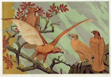 Eagles, pub. 1897.