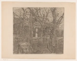 Træer omkring et hus Have i Amsterdam (original titel)