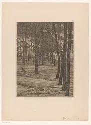 Dennenbosch I (original titel på objekt) Bos (original titel)