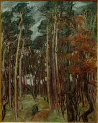 Hermsdorfer Wald på en grå dag