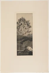 Yearnings, 1881dani