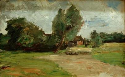 hollandsk landskab