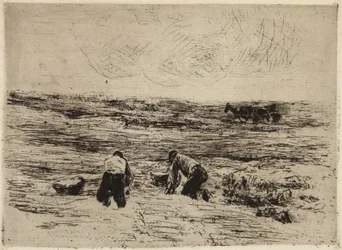 Kartoffelbønderne