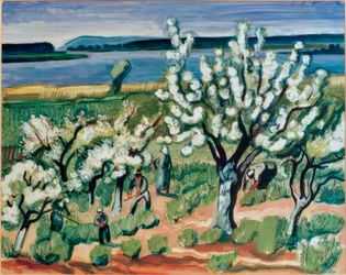 Træblomstring ved søen