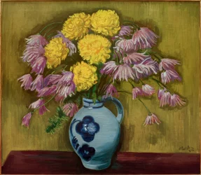 krysantemum