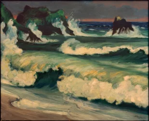 Stormfuld sø