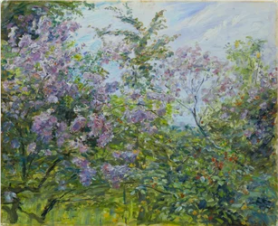 Blomstrende syren