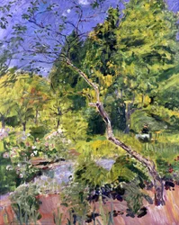 Park i Pfalz (Neukastel)