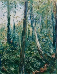 skovsti