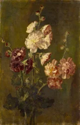Stokroser