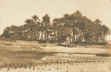 Udsigt over Elephantine Island, overfor Aswan, 1849-50.