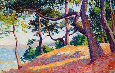 Landskab i Saint-Tropez, 1892