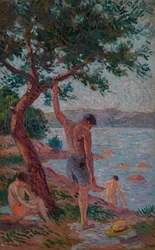 Saint-Tropez, badende under fyrreskoven