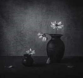 Falmede blomsterstilleben