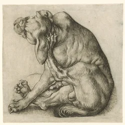 kløende hund