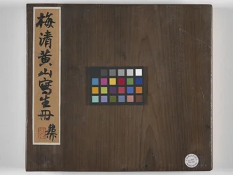 12 udsigter over Huangshan (blæk på silke)