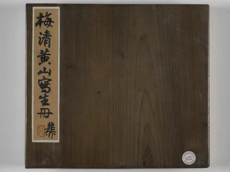 12 udsigter over Huangshan (blæk på silke)