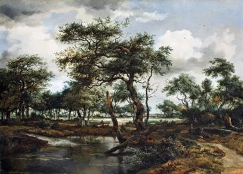 A Pond in the Forest, 1668 (olie på egetræspanel)
