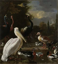 En pelikan og andre fugle nær en dam, kendt som «Den flydende fjer», ca. 1680