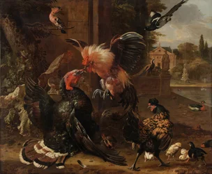 En hane og en kalkun i kamp, ca. 1680.