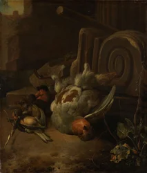 Døde fugle
