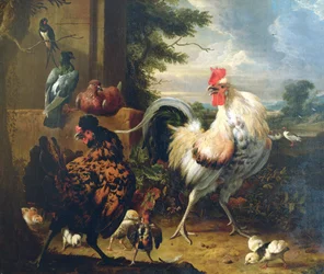Fjerkræ på gårdspladsen