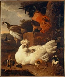 M. de Hondecoeter, hønemor med kyllinger