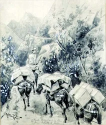 Trekking, Muldyrtog fra Cabello til Valencia (akvarel på papir)