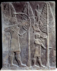 Fuglejagtscene. Lavt relief i albaster fra Palace of Sargon II eller Sharroukin, konge af Assyrien til Khorsabad (Khunsabad) (Mesopotamien), Irak. 722-705 f.Kr. Paris. Louvre-museet