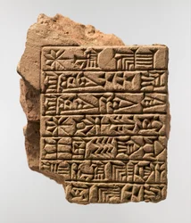 Kassite indskrevet mursten med sumerisk dedikationsindskrift af Adad-shuma-usur, ca. 1216-1187 f.Kr. (keramik)