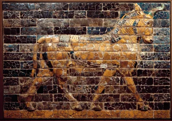 Mesopotamien: »Tyr i bevægelse«. Emaljerede teglsten fra Ishtarporten. Babylon (Irak) på kong Nebukadnesar II
