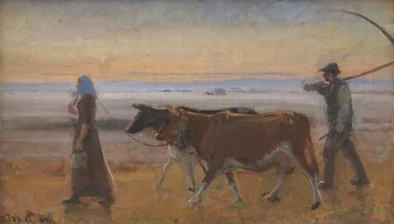 Køer drives over heden