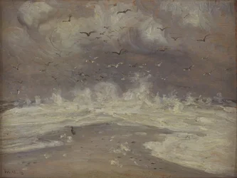 Surf ved den jyske nordkyst