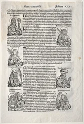 Nürnberg Krønike, 1493.