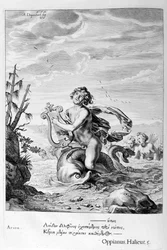 Arion reddet af en delfin, 1655
