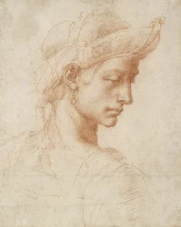 Ideelt hoved, ca. 1518-20 (rødt kridt på papir)