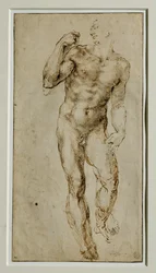 Mandlig nøgen, set forfra, ca. 1502-1506 ...